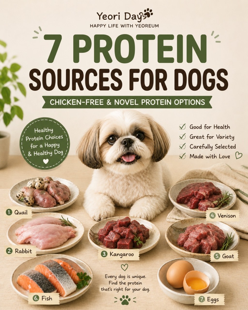 7 Protein Sources for Dogs | Chicken-Free & Novel Protein Options 🐶🥩